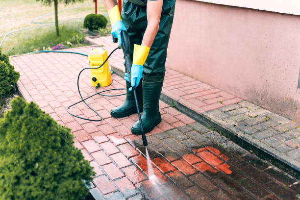 Best Roof Power Washing Services  in Sneads, FL