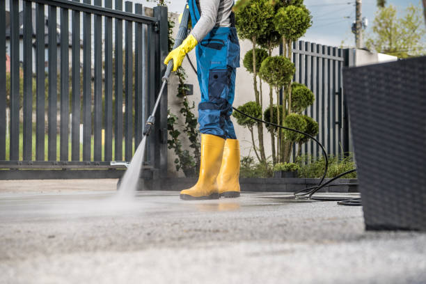Best Deck Cleaning Services  in Sneads, FL